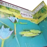 104th Anniversary Foamboard real photo - fast unboxing